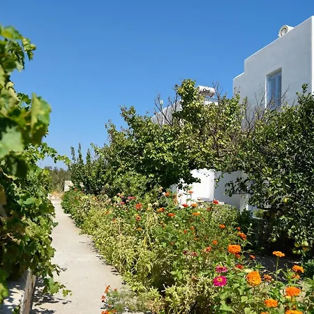 Flora & Agelos Chrisi Akti (Paros)