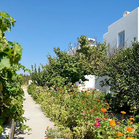Flora & Agelos Studios Apartment Chrisi Akti (Paros)