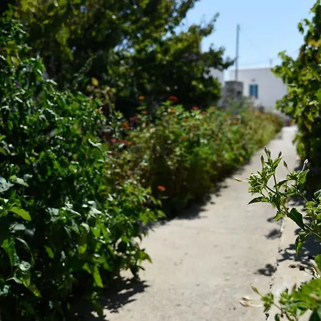 Flora & Agelos * Chrisi Akti (Paros)