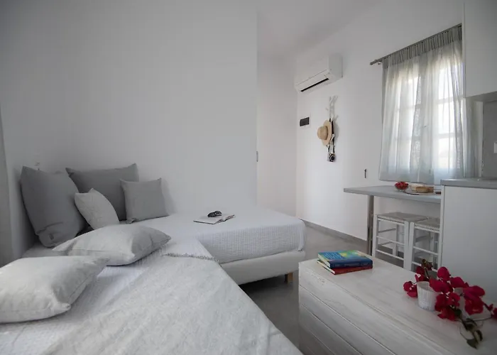 Flora & Agelos Studios Chrisi Akti (Paros)