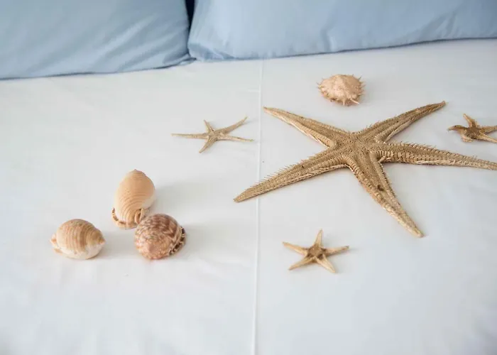 Flora & Agelos Studios