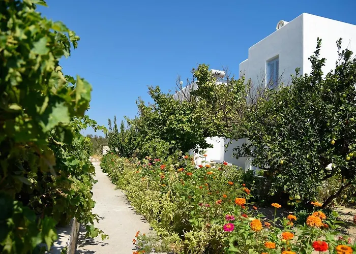 Flora & Agelos Studios Chrisi Akti (Paros)