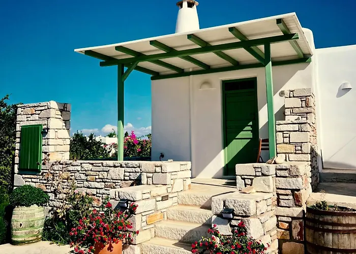 Flora & Agelos Studios